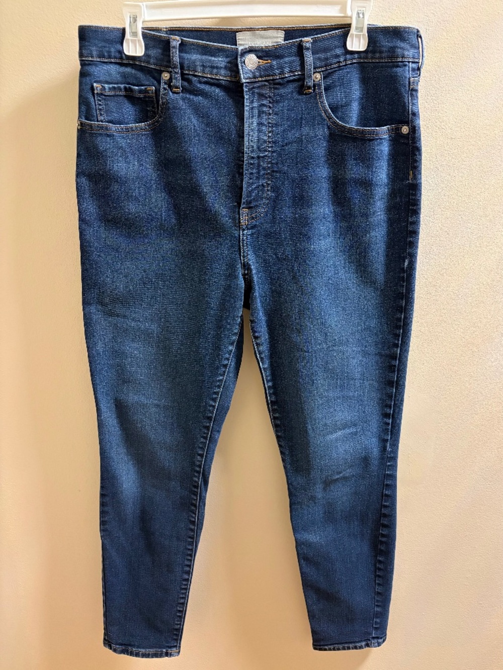 Everlane Authentic Stretch High Rise Skinny Jean